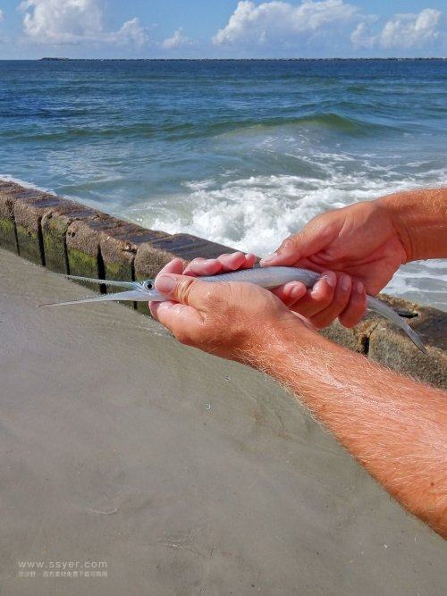 用水文監(jiān)測(cè)站助力鱔魚養(yǎng)殖