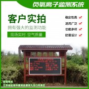 去公園吸氧，看看負氧離子在線監(jiān)測儀！